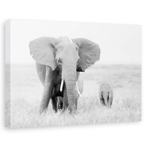 Tablou Canvas - Stai Departe, Marime: 40 x 60 cm - - Roveli