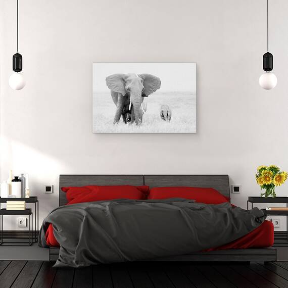 Tablou Canvas - Stai Departe, Marime: 40 x 60 cm - 3- Roveli