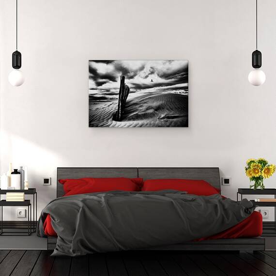 Tablou Canvas - Strigatul Pescarusului, Marime: 40 x 60 cm - 3- Roveli