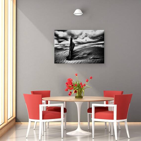 Tablou Canvas - Strigatul Pescarusului, Marime: 40 x 60 cm - 4- Roveli