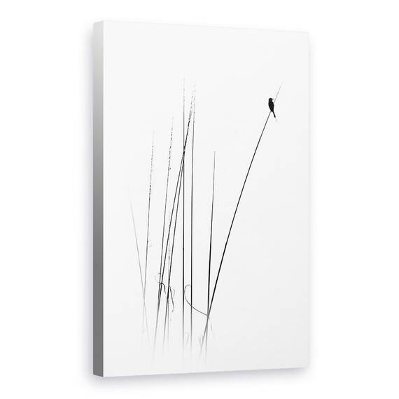 Tablou Canvas - Un Concediu Sabatic, Marime: 40 x 60 cm - - Roveli