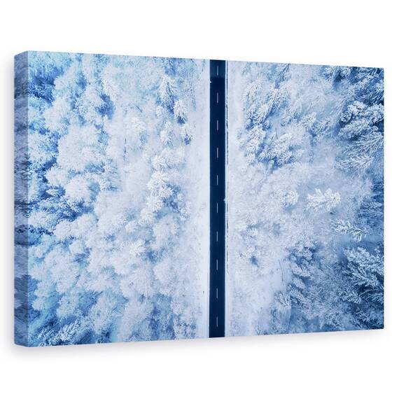 Tablou Canvas - Un Drum Inghetat, Marime: 40 x 60 cm - - Roveli
