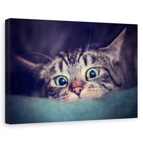 Tablou Canvas - Vanator, Marime: 40 x 60 cm - - Roveli