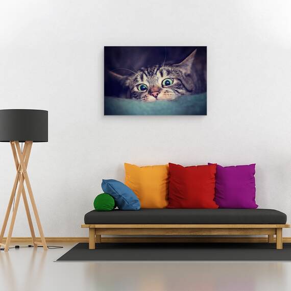 Tablou Canvas - Vanator, Marime: 40 x 60 cm - 2- Roveli