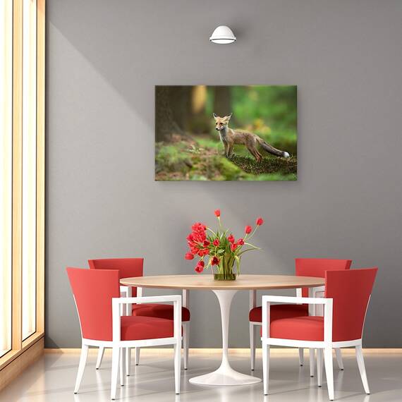 Tablou Canvas - Vulpe Rosie, Marime: 40 x 60 cm - 3- Roveli