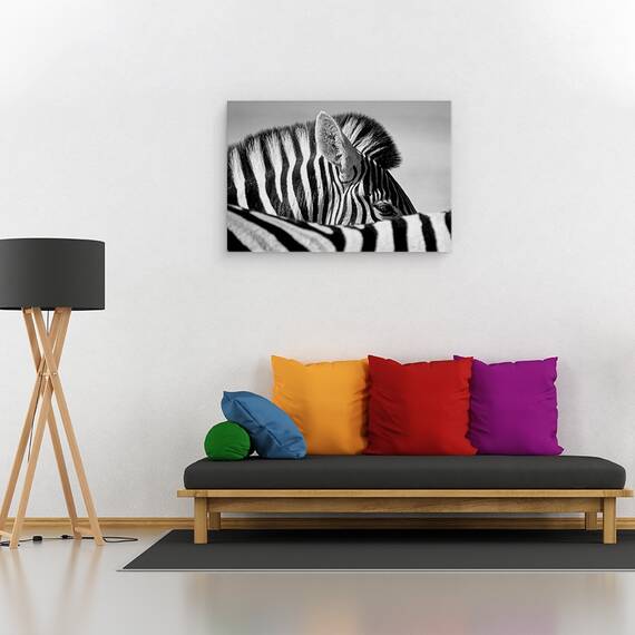 Tablou Canvas - Zebra Curioasa, Marime: 40 x 60 cm - 2- Roveli