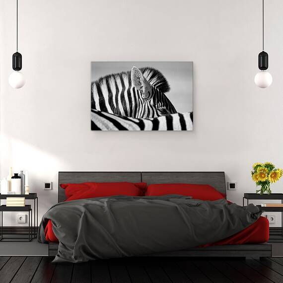 Tablou Canvas - Zebra Curioasa, Marime: 40 x 60 cm - 3- Roveli