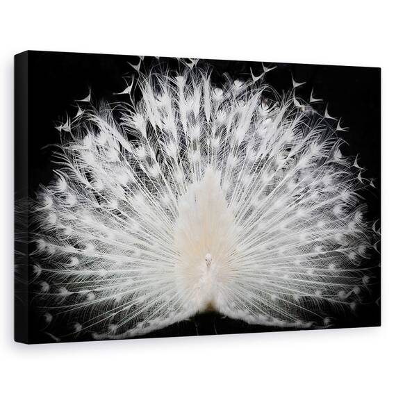 Tablou Canvas - Alb-Negru, Marime: 40 x 60 cm - - Roveli