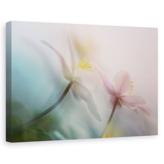 Tablou Canvas - Bland, Marime: 40 x 60 cm - - Roveli