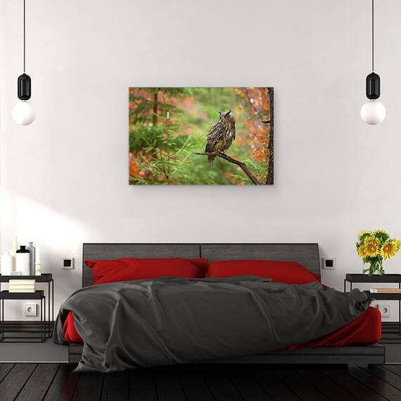 Tablou Canvas - Bufnita Euroasiatica, Marime: 40 x 60 cm - 3- Roveli