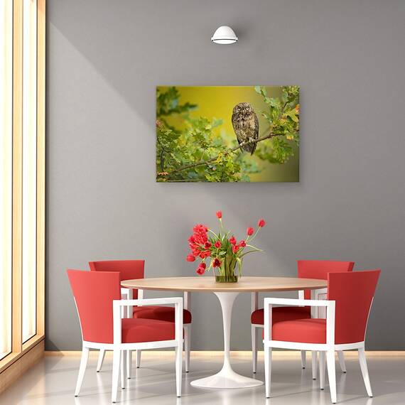 Tablou Canvas - Bufnita, Marime: 40 x 60 cm - 4- Roveli
