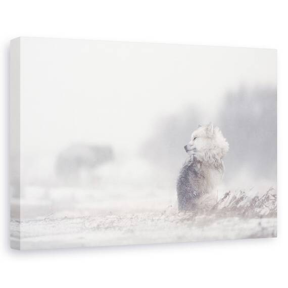 Tablou Canvas - Caini In Furtuna, Marime: 40 x 60 cm - - Roveli