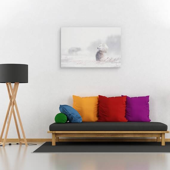 Tablou Canvas - Caini In Furtuna, Marime: 40 x 60 cm - 2- Roveli