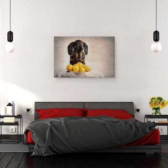 Tablou Canvas - Cand Viata Iti Da Lamai, Marime: 40 x 60 cm - 3- Roveli