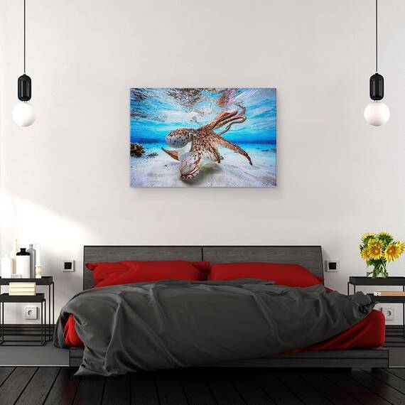 Tablou Canvas - Caracatita Dansatoare, Marime: 40 x 60 cm - 3- Roveli