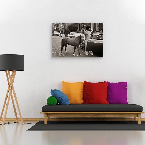 Tablou Canvas - Chiar Incearca Sa Ma Integreze Acolo Din Nou, Marime: 40 x 60 cm - 2- Roveli