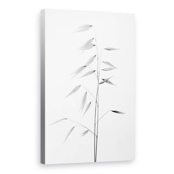 Tablou Canvas - Claritatea Naturii, Marime: 40 x 60 cm - - Roveli