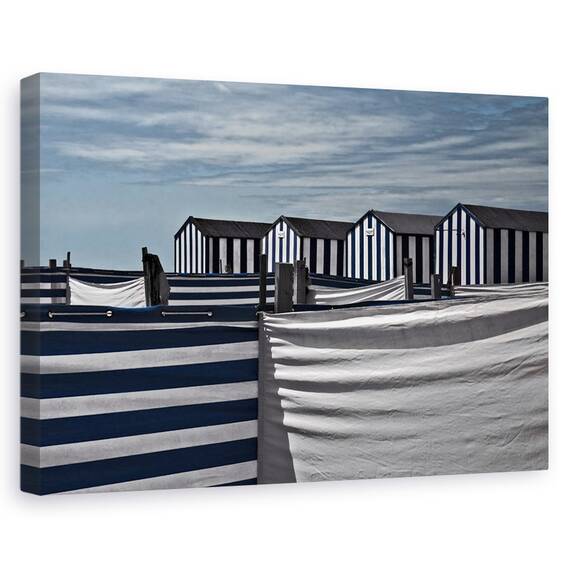 Tablou Canvas - Comportament Teritorial, Marime: 40 x 60 cm - - Roveli