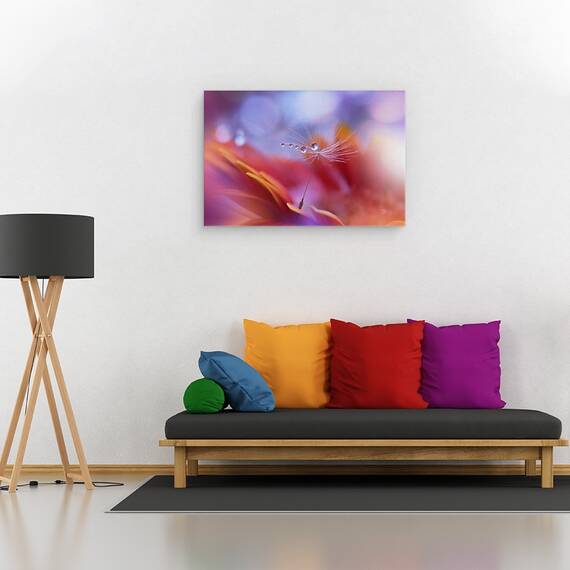 Tablou Canvas - Dans In Lumina, Marime: 40 x 60 cm - 2- Roveli