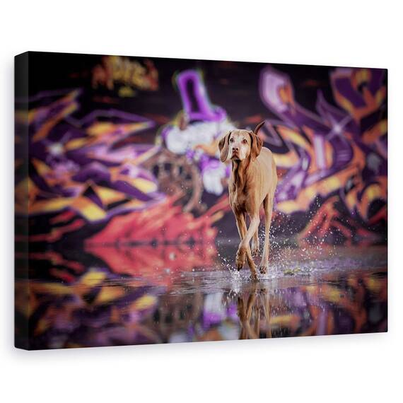 Tablou Canvas - Dansator In Intuneric, Marime: 40 x 60 cm - - Roveli
