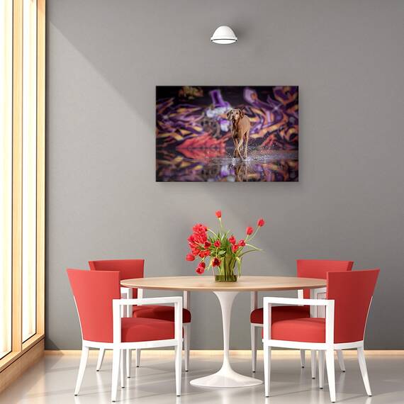 Tablou Canvas - Dansator In Intuneric, Marime: 40 x 60 cm - 4- Roveli