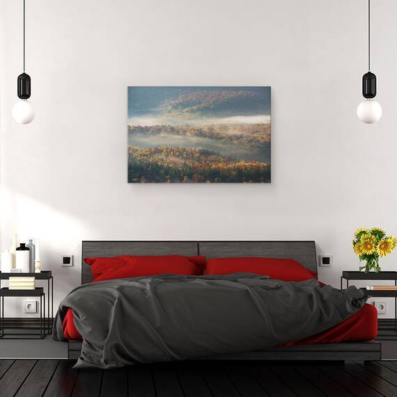 Tablou Canvas - Dimineata Cetoasa, Marime: 40 x 60 cm - 3- Roveli