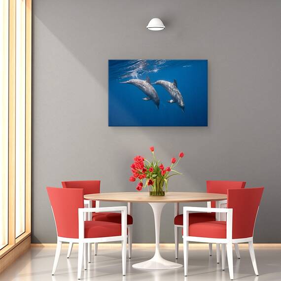 Tablou Canvas - Doi Delfini, Marime: 40 x 60 cm - 4- Roveli