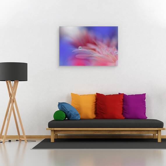 Tablou Canvas - Explozie Colorata, Marime: 40 x 60 cm - 2- Roveli