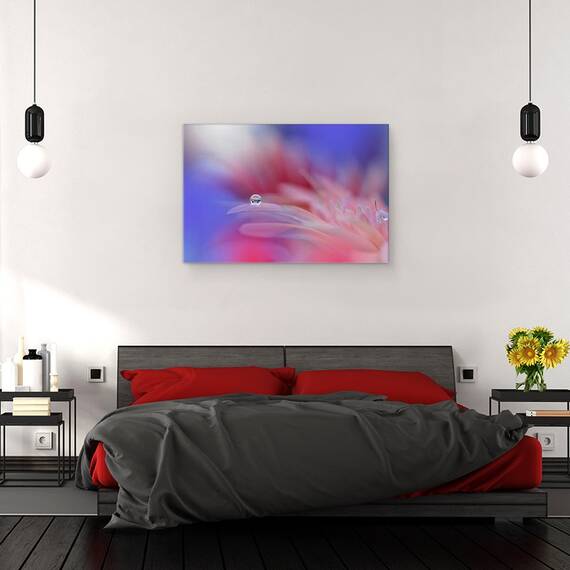 Tablou Canvas - Explozie Colorata, Marime: 40 x 60 cm - 3- Roveli