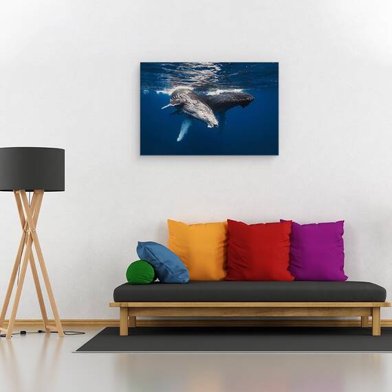 Tablou Canvas - Familia Balenelor Cu Cocoasa, Marime: 40 x 60 cm - 2- Roveli