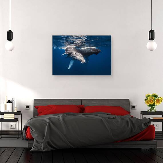 Tablou Canvas - Familia Balenelor Cu Cocoasa, Marime: 40 x 60 cm - 3- Roveli