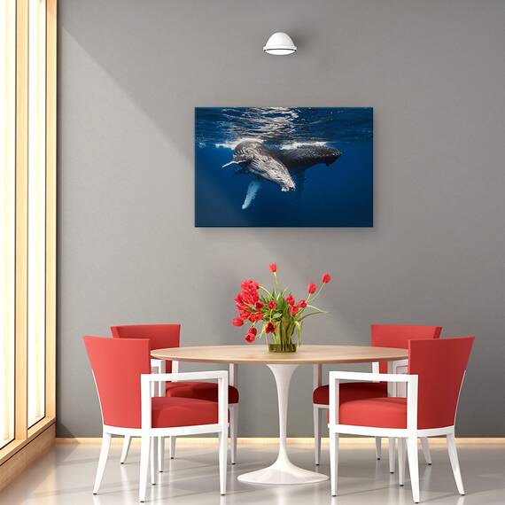 Tablou Canvas - Familia Balenelor Cu Cocoasa, Marime: 40 x 60 cm - 4- Roveli