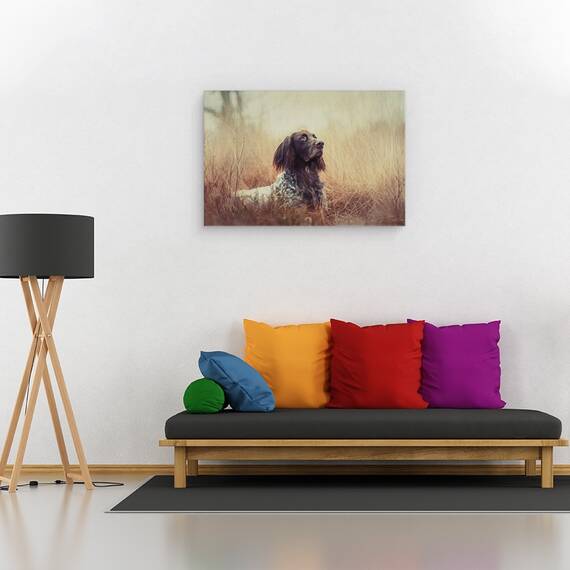 Tablou Canvas - Frumoasa Aragorn, Marime: 40 x 60 cm - 2- Roveli
