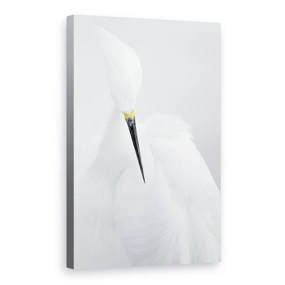 Tablou Canvas - Frumusete Alba, Marime: 40 x 60 cm - - Roveli