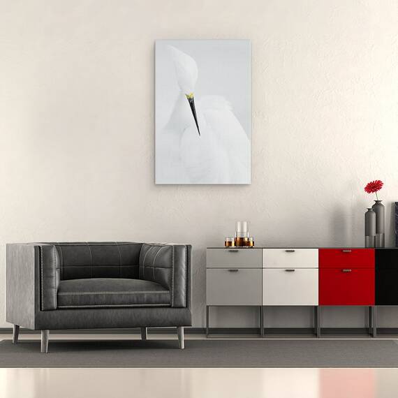 Tablou Canvas - Frumusete Alba, Marime: 40 x 60 cm - 2- Roveli