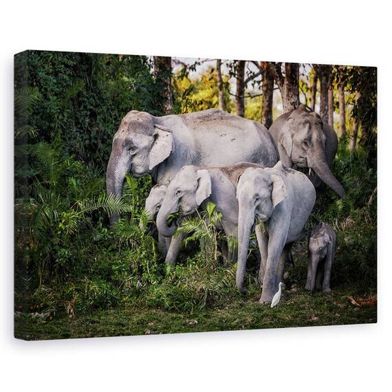 Tablou Canvas - Frunze Gustoase, Marime: 40 x 60 cm - - Roveli
