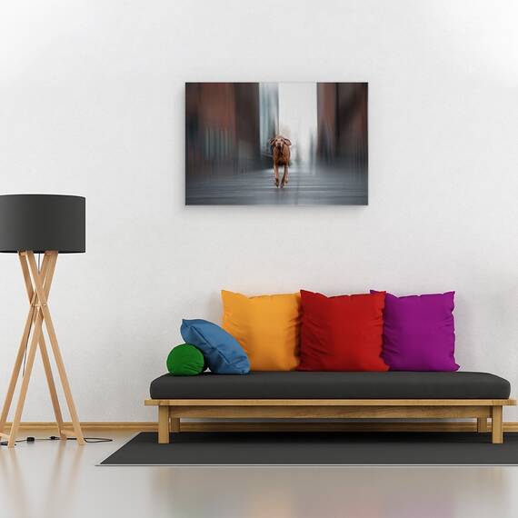 Tablou Canvas - Fugi Ca Vantul, Marime: 40 x 60 cm - 2- Roveli