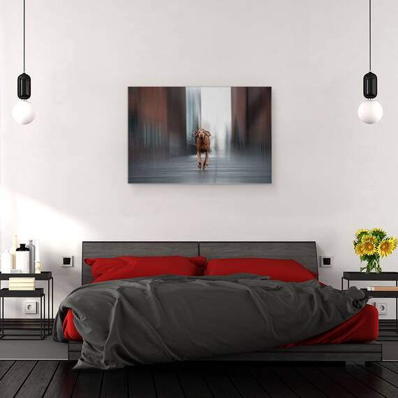 Tablou Canvas - Fugi Ca Vantul, Marime: 40 x 60 cm - 3- Roveli