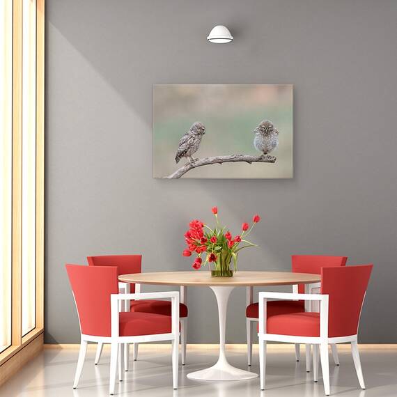 Tablou Canvas - Gagica Mea, Marime: 40 x 60 cm - 4- Roveli