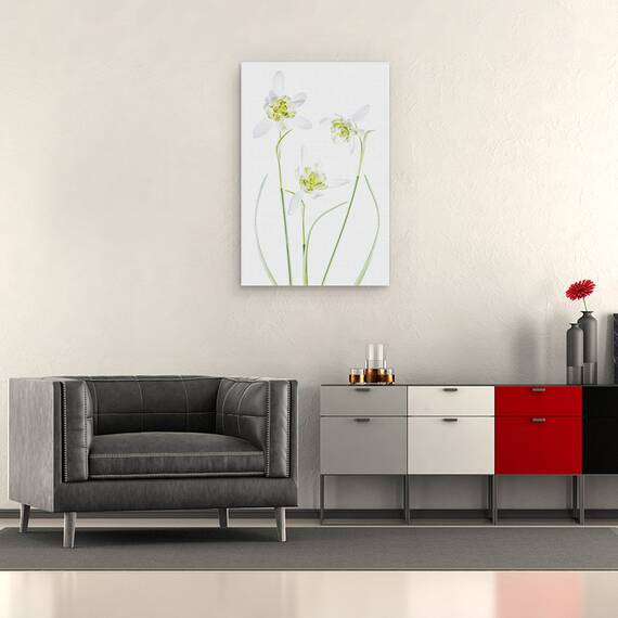 Tablou Canvas - Galanthus Flore Pleno, Marime: 40 x 60 cm - 2- Roveli