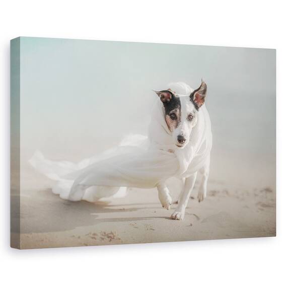 Tablou Canvas - Iesind Din Furtuna, Marime: 40 x 60 cm - - Roveli