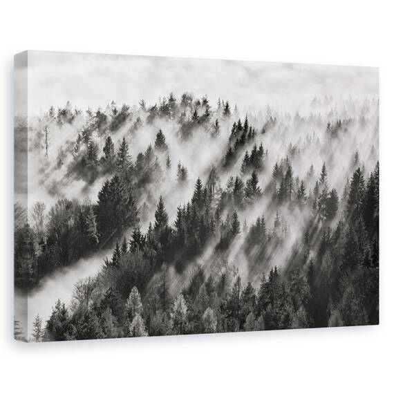 Tablou Canvas - In Lumina Soarelui, Marime: 40 x 60 cm - - Roveli