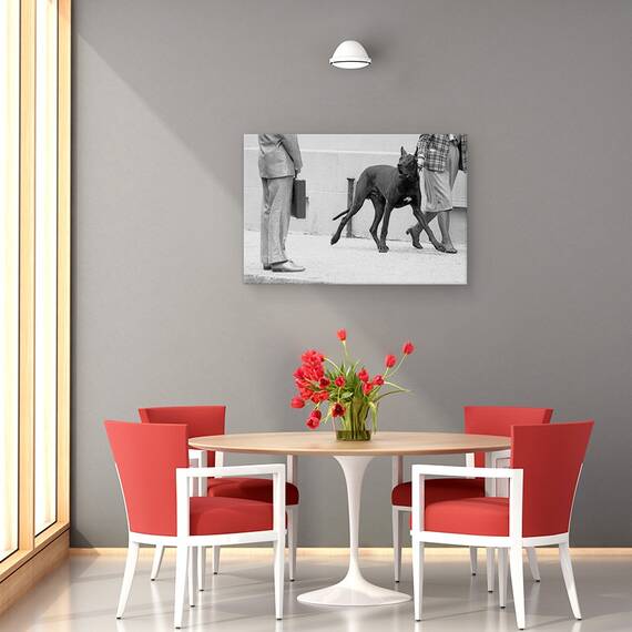 Tablou Canvas - Marele Bodyguard Danez, Marime: 40 x 60 cm - 4- Roveli