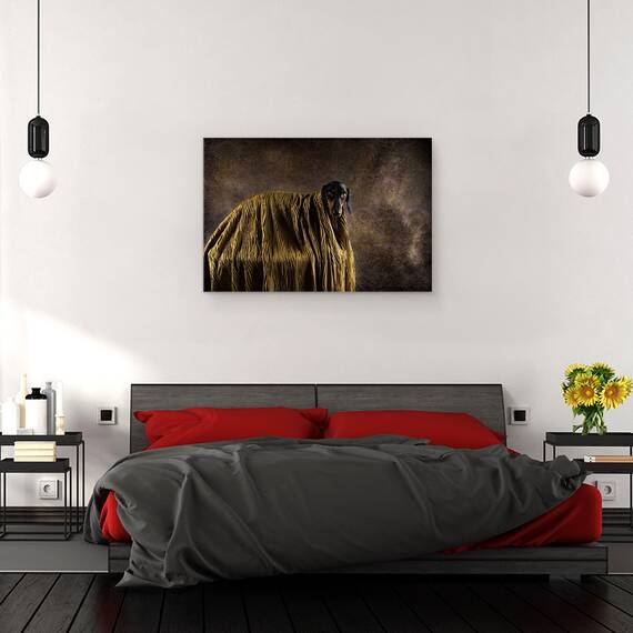 Tablou Canvas - Micutul Dandy, Marime: 40 x 60 cm - 3- Roveli