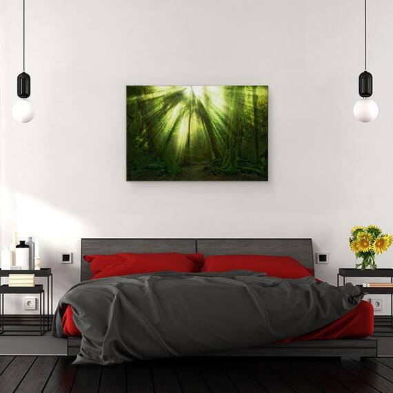 Tablou Canvas - Miracolul, Marime: 40 x 60 cm - 3- Roveli