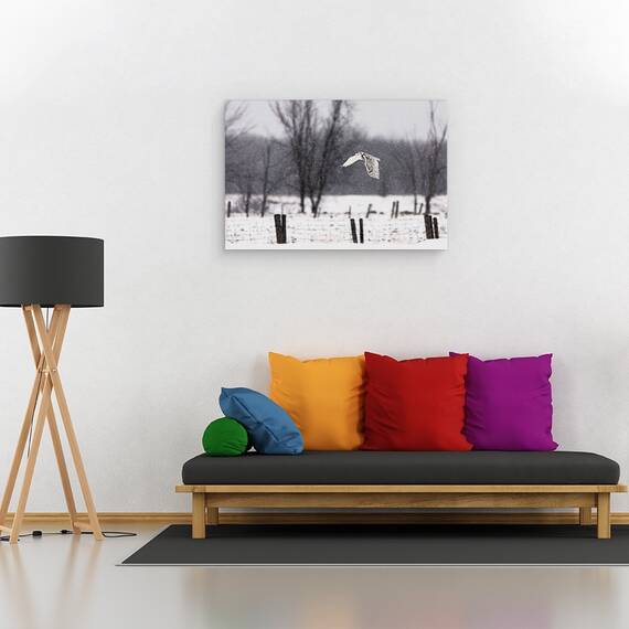 Tablou Canvas - O Bufnita De Zapada, Marime: 40 x 60 cm - 2- Roveli