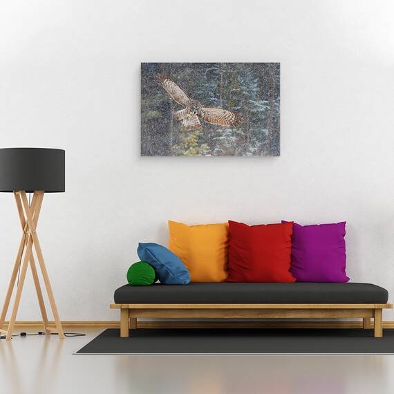 Tablou Canvas - O Bufnita Mare In Ninsoare, Marime: 40 x 60 cm - 2- Roveli