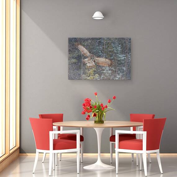 Tablou Canvas - O Bufnita Mare In Ninsoare, Marime: 40 x 60 cm - 4- Roveli