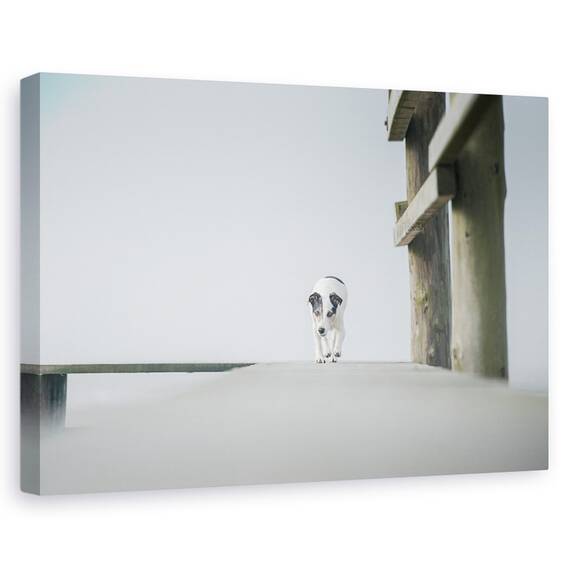Tablou Canvas - O Zi Pe Litoral, Marime: 40 x 60 cm - - Roveli
