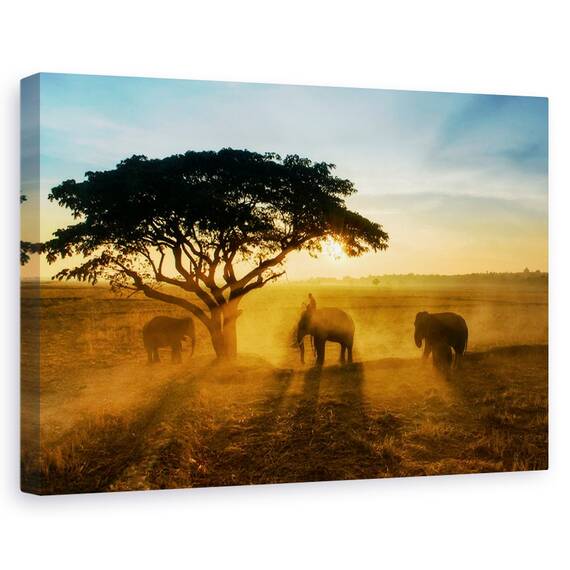 Tablou Canvas - Orasul Matinal Al Elefantilor, Marime: 40 x 60 cm - - Roveli